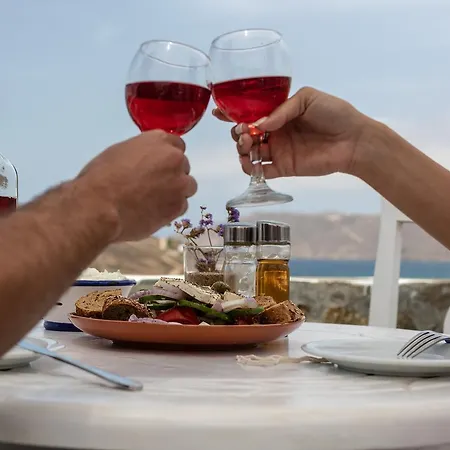 Hotel Anamar Mykonos Natural Retreat Ftelia (Mykonos)